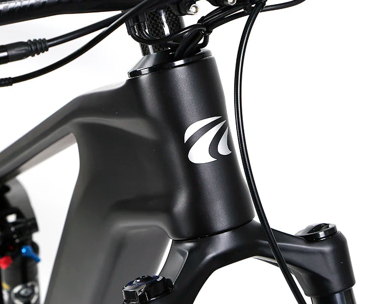 E Bike Manufactures New Model EM19 Enduro E Bike M820+36V15A Dual Suspension Electric Mtb Carbon Fiber Ebike for Hot Sale