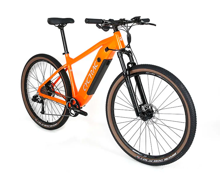 Low MOQ Ebike Speed-48V350W10A (36V350W13A)  Mtb Electric Mountain Bicycle 10 Speed Electric Mountain Bike