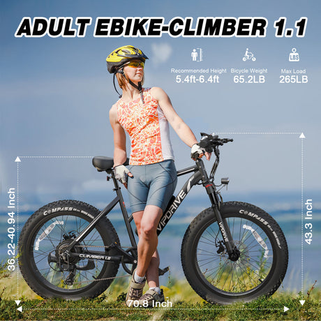 USA Stock 48V 13AH 500W Fat Tire Mountain Snow Full Suspension Ebike Multi Mode LCD Display Sport Ebike for Adults