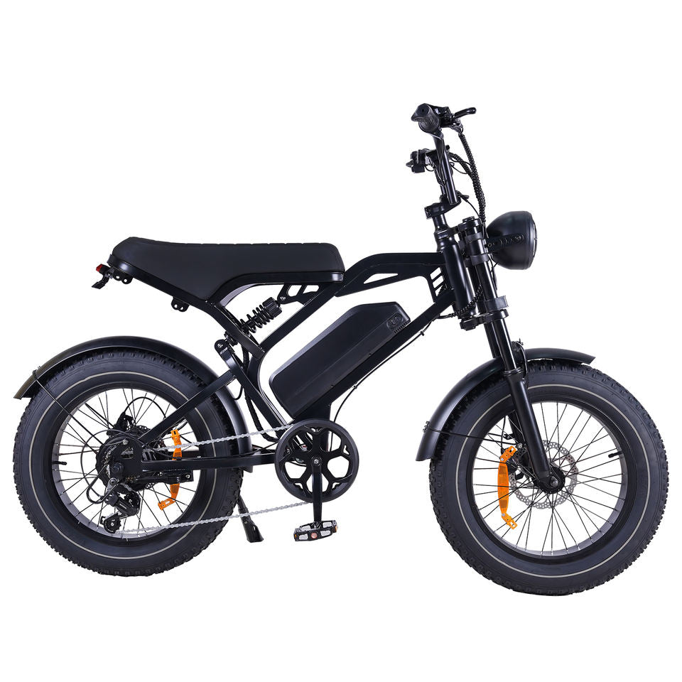 MOQ 200 pcs China Factory OEM Customized Electric Mountain Bike 20*4.0 Fat Tires 250W Motor 48V 15.6Ah Battery Dual Seat 45km/h