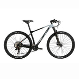 Twitter PREDATORpro Carbon Fiber Frame MTB Downhill Mountain Bikes Carbon M8100-2*12S Mountain Bike 29 Inch  Bicycle