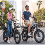 2023 Hot Sale 48v 750w Dual Battery Ebike Aluminum Alloy Electric Fat Tire Cargo Bicycle