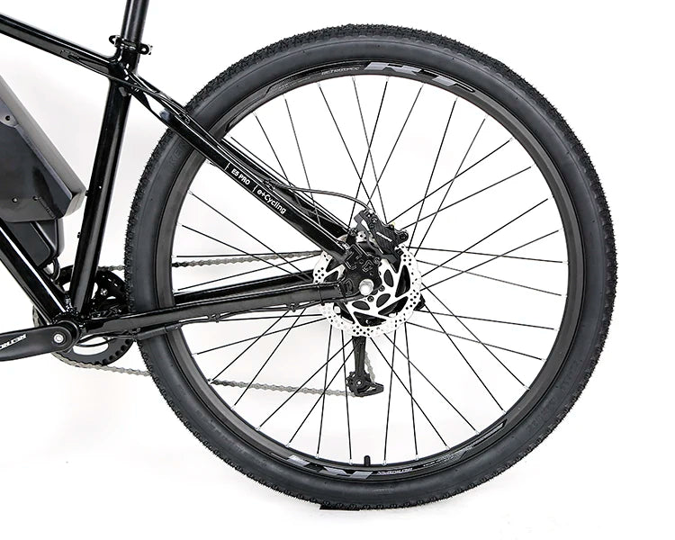 E5pro-Hub Motor Torque 36V 350W 10A 9 Speed Customize ODM/OEM Carbon Fork Electric Mountain Bike