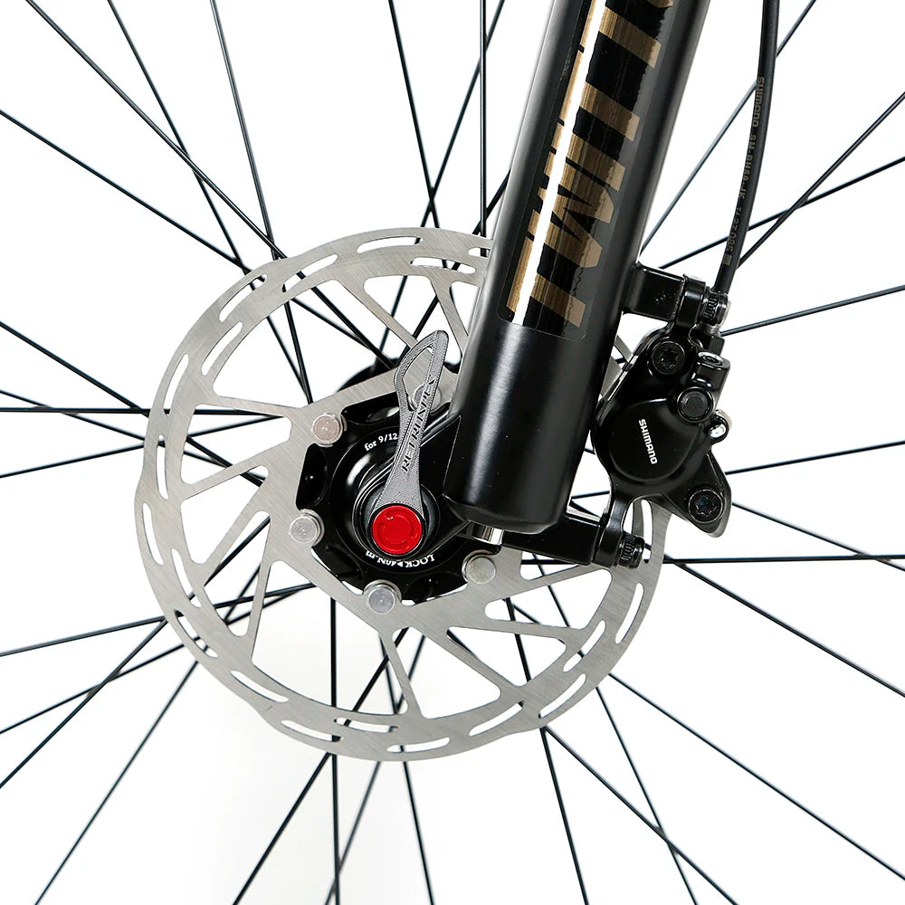 Fork Suspension Carbon Fiber 29 Inch Mountain Bike Mtb Bicycle with Hydraulic Brake