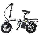 HONEY WHALE S6-S 14-Zoll-Elektrofahrrad 250W Motor 48V 10,4 Ah Batterie 25 km/h Vordere und mittlere Federung Dämpfung Doppels c
