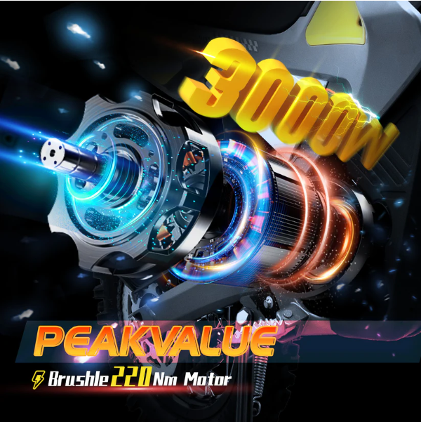 Cunfon M200 Electric Dirt Bike China Factory 48V 23.5AH 3000W Torque 220N.m MaxSpeed 55km/h Range70Km dual brake