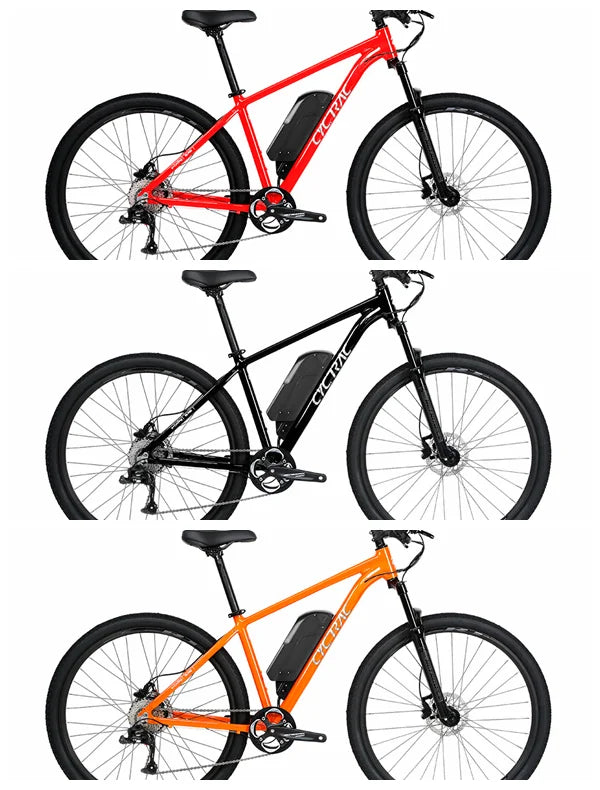 E5pro-Hub Motor Torque 36V 350W 10A 9 Speed Customize ODM/OEM Carbon Fork Electric Mountain Bike