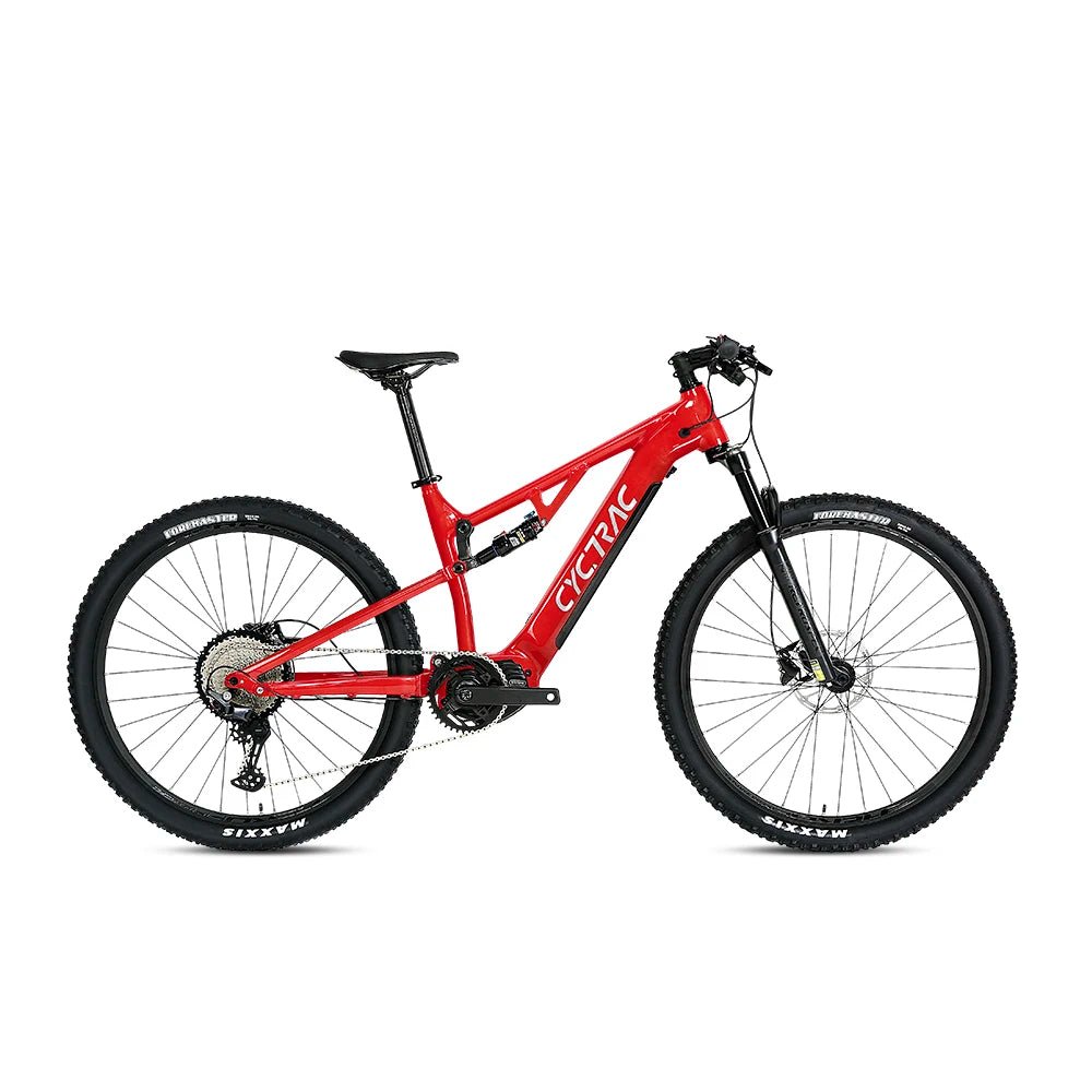 TWITTER Mountain E-bike Off-road Electric Bike 29 Inch Alu Alloy Frame Soft Tail Mtb Electric Dirt Bike for Men