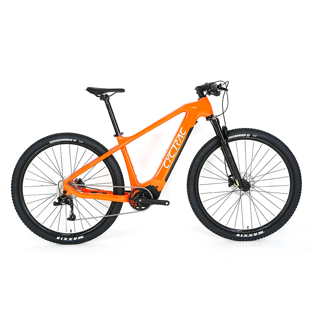 Cheap Price 13A 250W 10 Speed Carbon Bicycle Electric Bike Mountain