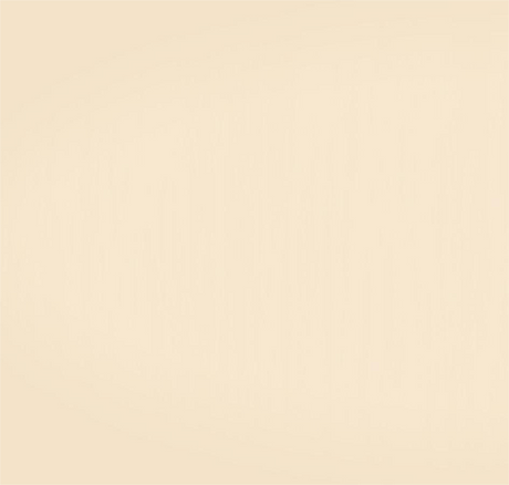 Onemile Nomad Magnesium Alloy Frame 250w 36V 10AH Motor Power Electric Bike Folding