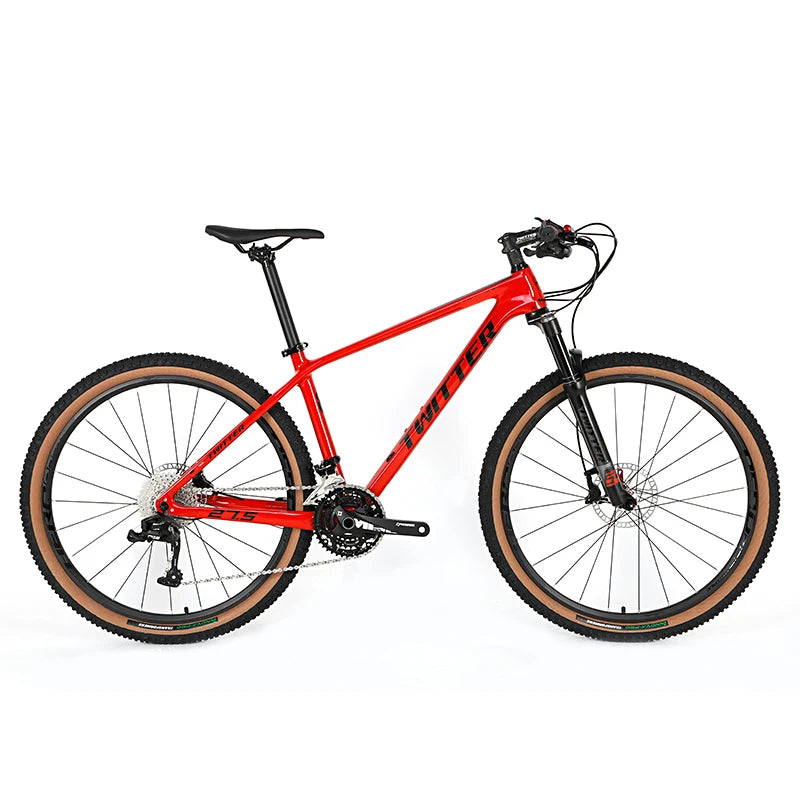 OEM 29er Hard Tail Bike Carbon T800-18K  Single Speed Carbon Fiber Bike Frame Mountain Bike for Adult