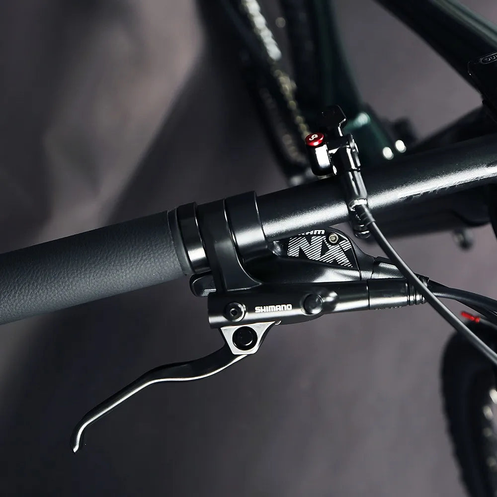 TWITTER High Quality Mountain E-bike 29er air Suspension Fork Alu Alloy Frame Mtb Bike Hybrid Electric Bike for Men