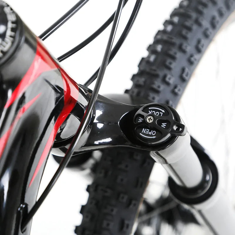 OEM Aluminum Alloy  Mountain Bike Bicycle 30 Speed with Hydraulic Disc Brake